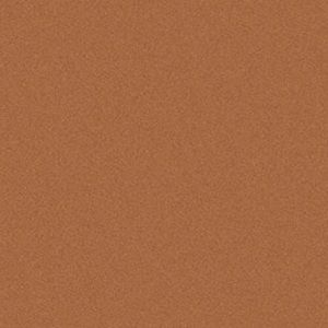 Meet your Posher, Noemi